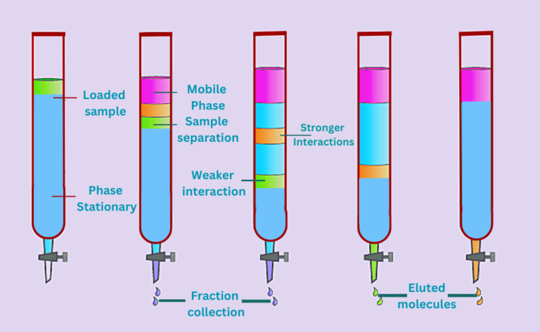 Column Chromatography Principle Types Applications