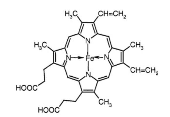 Haemoglobin structure 