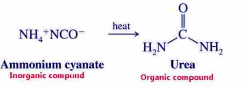 Wohler Urea synthesis in Laboratory