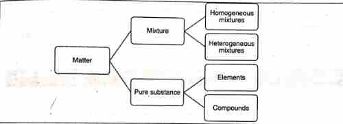 Form of Matter 