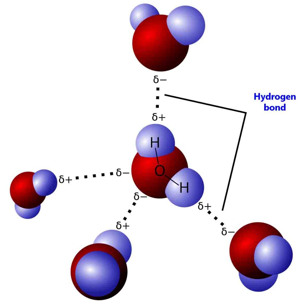 Hydrogen bonding in water