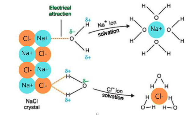 Image showing the solubility of ionic compound in water