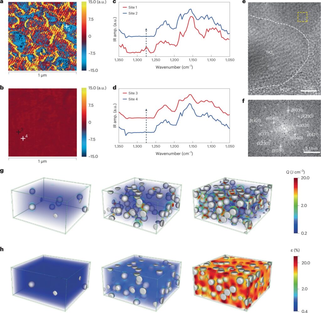 new ferroelectric mate