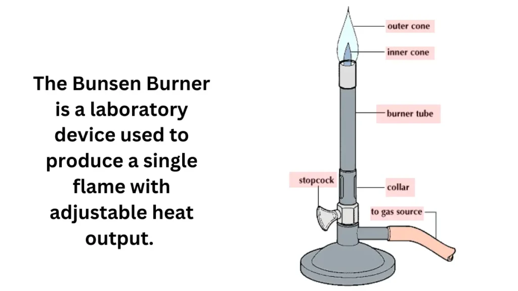 image showing what is bunsen burger