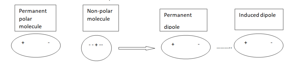 Dipole-Induced Dipole forces or Debye forces