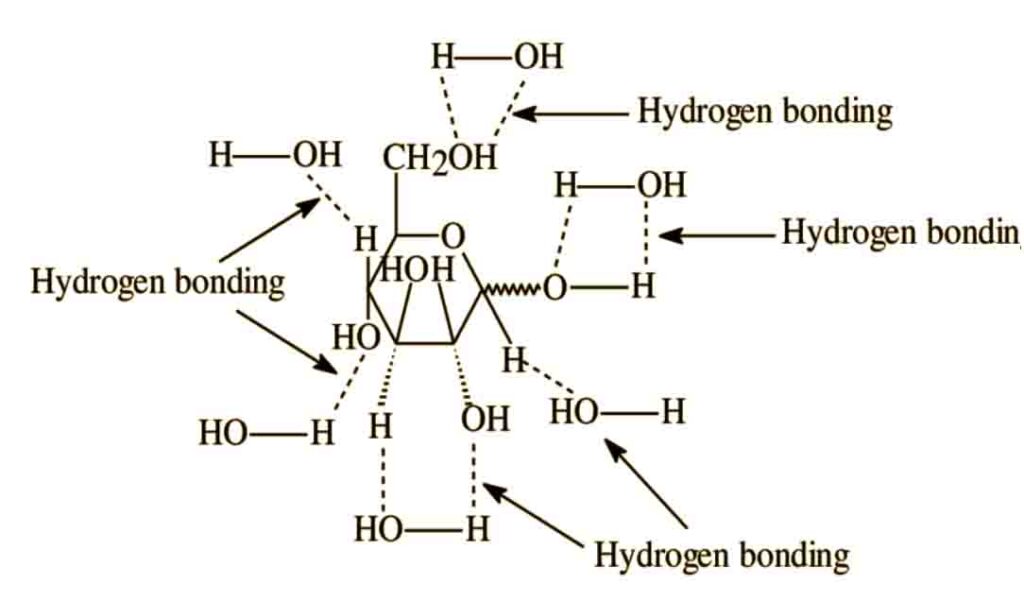 Hydrogen bonding glucose and water molecule