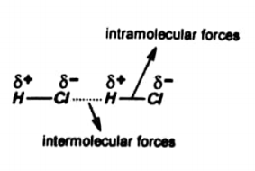 Intermolecular and intramolecular forces