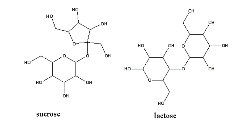 image showing structures of sucrose and lactose