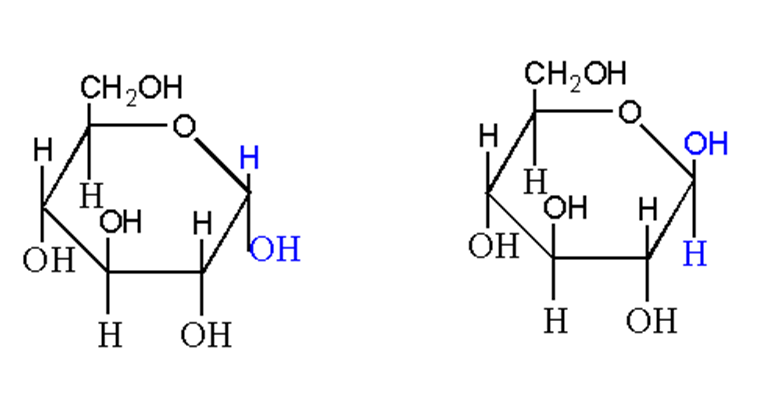 image showing α-D-glucose and β-D-glucose as anomers of each other
