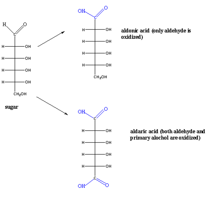 image showing oxidation reaction of glucose