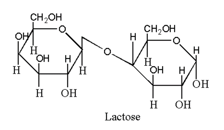 image showing structure of lactose as disaccharide