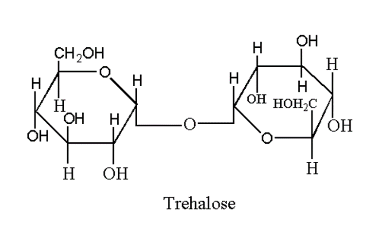image showing structure of trehalose as disaccharide
