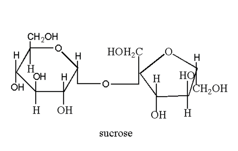 image showing the structure of sucrose
