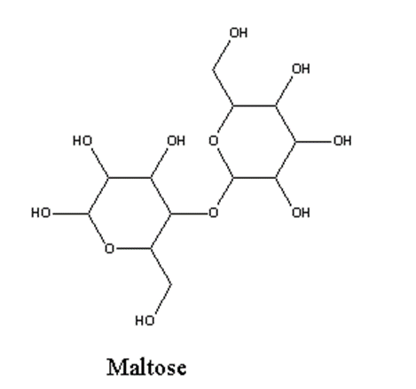 image showing structure of maltose 