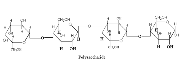 Image showing the structure of polysaccharide