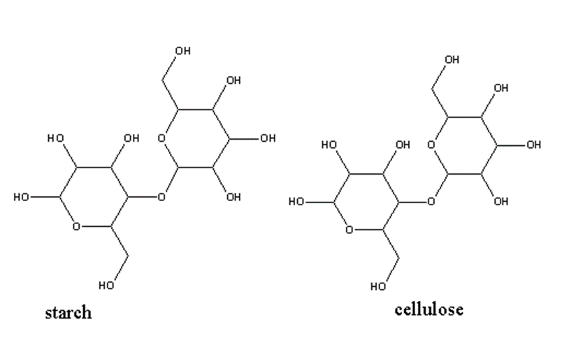 image showing structure of starch and cellulose
