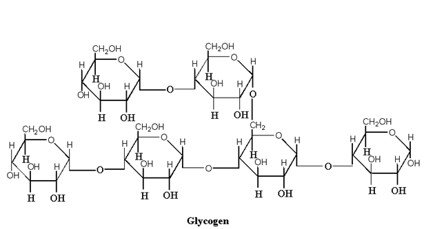 Image showing the structure of glycogen