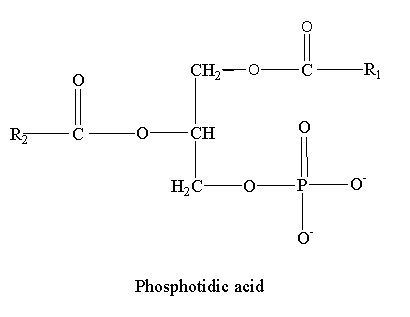 Image showing the structure of phosphatidic acid