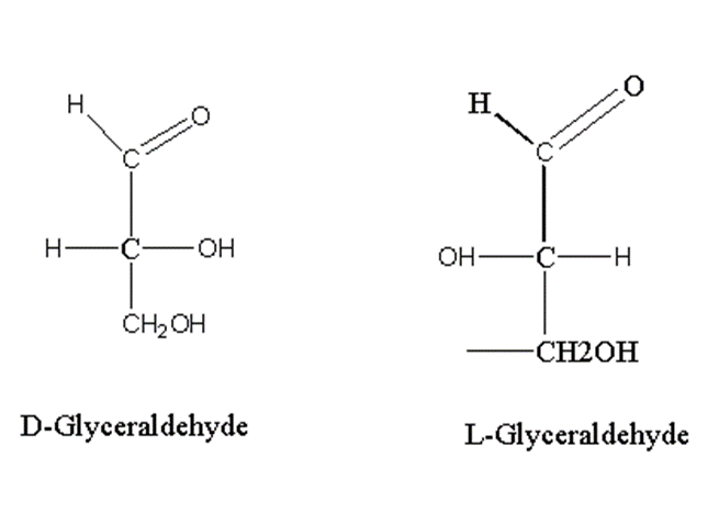 image showing structure of D-glyceraldehyde and L-glyceraldehyde