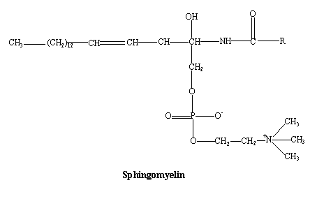 Image showing the structure of sphingomyelin