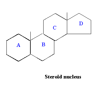 Image showing structure of steroid nucleus