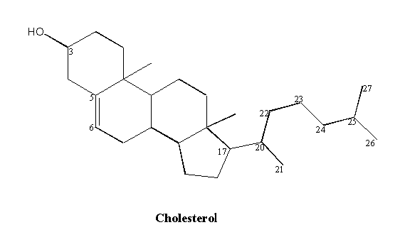 Image showing the structure of cholesterol