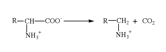 Image showing decarboxyltion of amino acids
