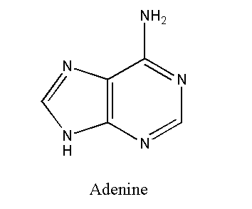 Image showing the structure of adenine