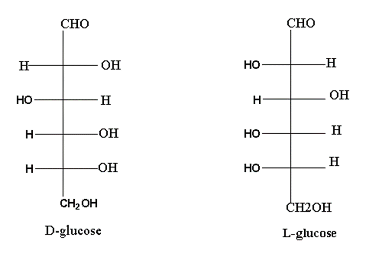 image showing structure of D Glucose and L glucose
