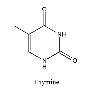 Image showing the structure of thymine