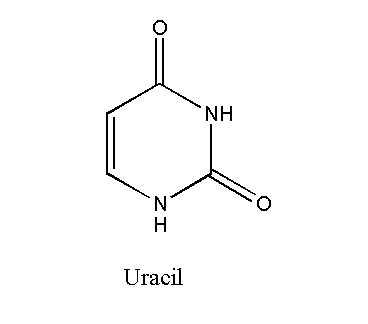 Image showing the structure of uracil
