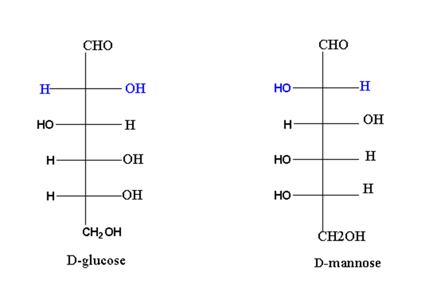 image showing glucose and D-mannose as epimers of eachother