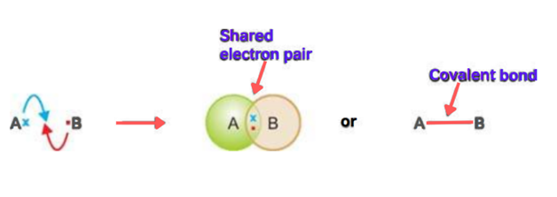 Image showing the formation of covalent bond
