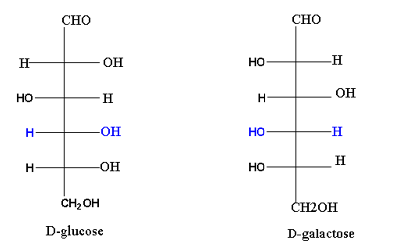 image showing glucose and D-Galactose as epimers of each other