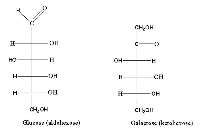 image showing aldose and ketose isomerism of glucose and galactose