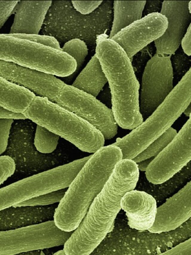 Some Archaea were found to have integrons, allowing cross-domain gene transfer