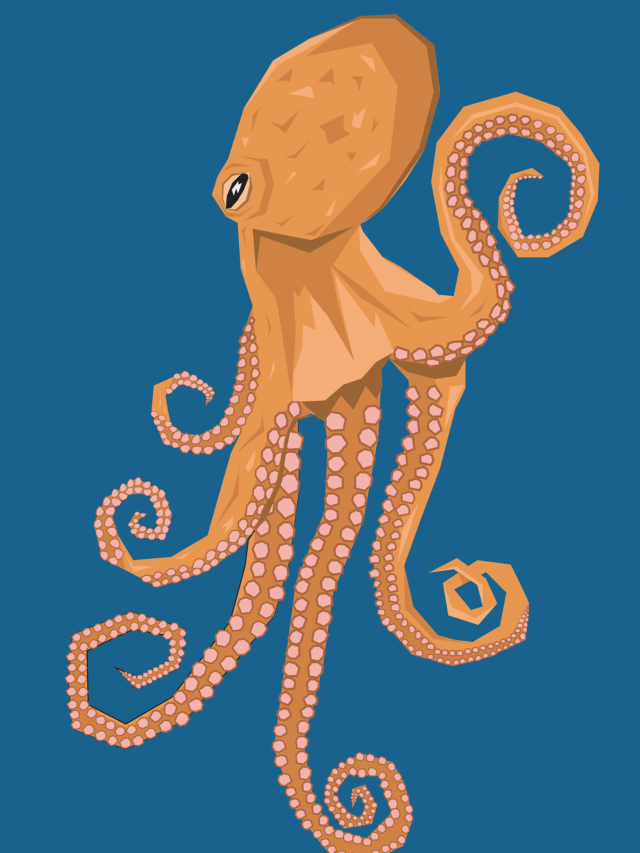 How do squid and octopus get their big brains?