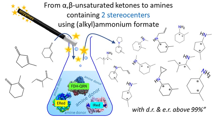 image shoiwng enzymatic synthesis of optically active amines
