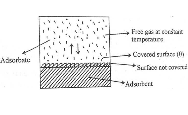 Adsorption Isotherms | Types Of Adsorption Isotherms By Freundlich And ...