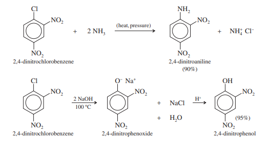 image showing example how 2,4-dinitrochlorobenzene can lose chloride when ammonia and hydroxide ions are present