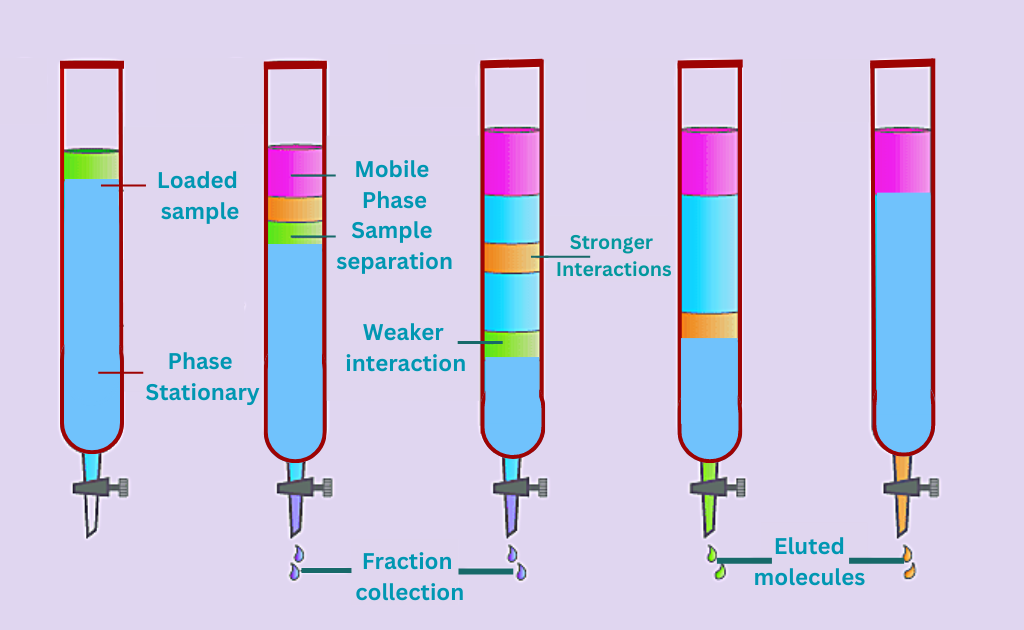 column chromatography procedure