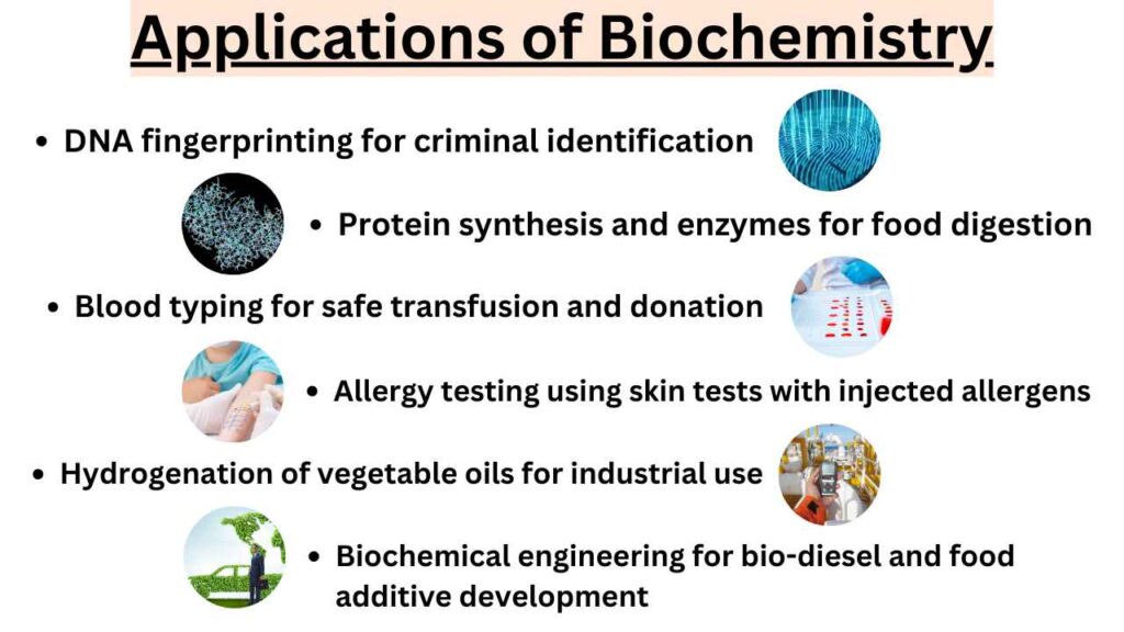 image showing Applications of Biochemistry 