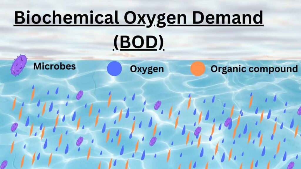 image showing Biochemical oxygen demand (BOD) effect on water quality