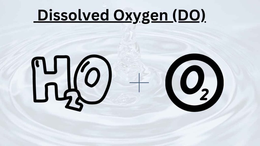 image showing Dissolved oxygen (DO) effect on water quality