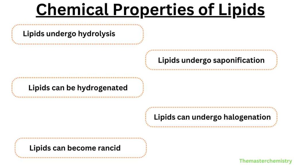 image showing Chemical Properties of Lipids