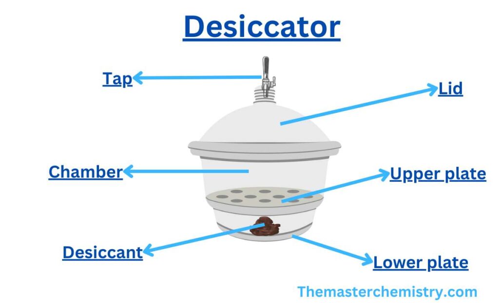Components of a Desiccator image