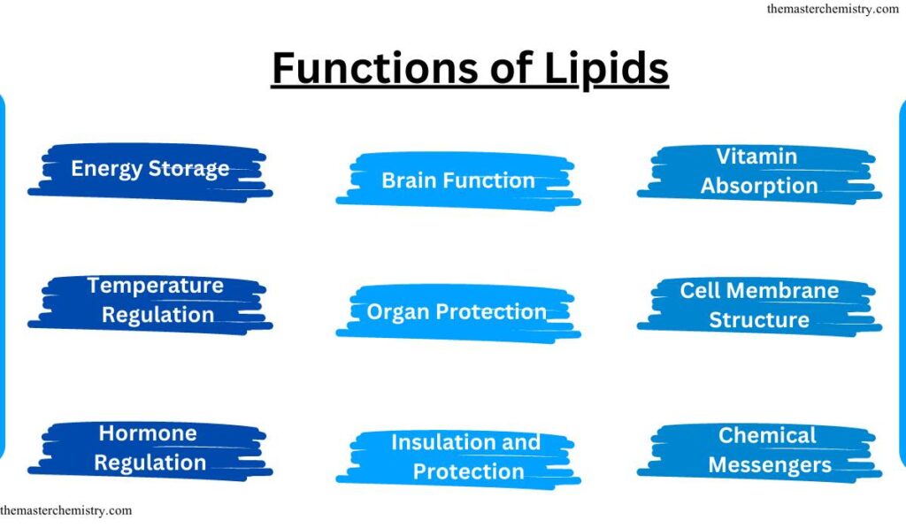 Functions of Lipids image